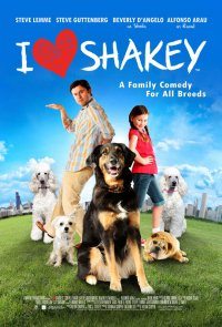 Akıllı Köpek / I Heart Shakey