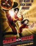 Shaolin Futbolu